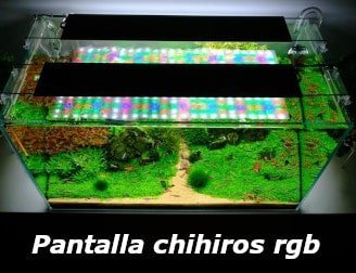 pantalla acuario plantado